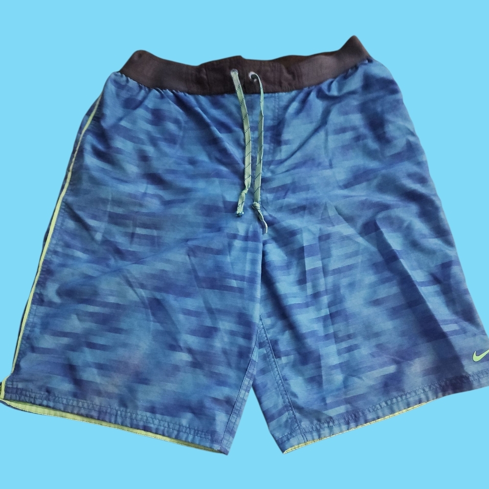 Nike Men's Blue Swim Shorts